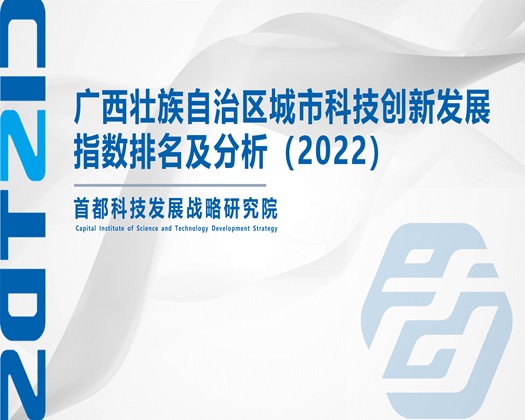 操少罗【成果发布】广西壮族自治区城市科技创新发展指数排名及分析（2022）